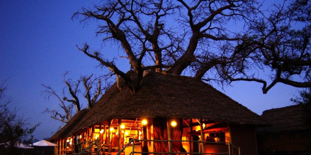 Tarangire Treetops Tarangire National Park Kwa Kuchinia