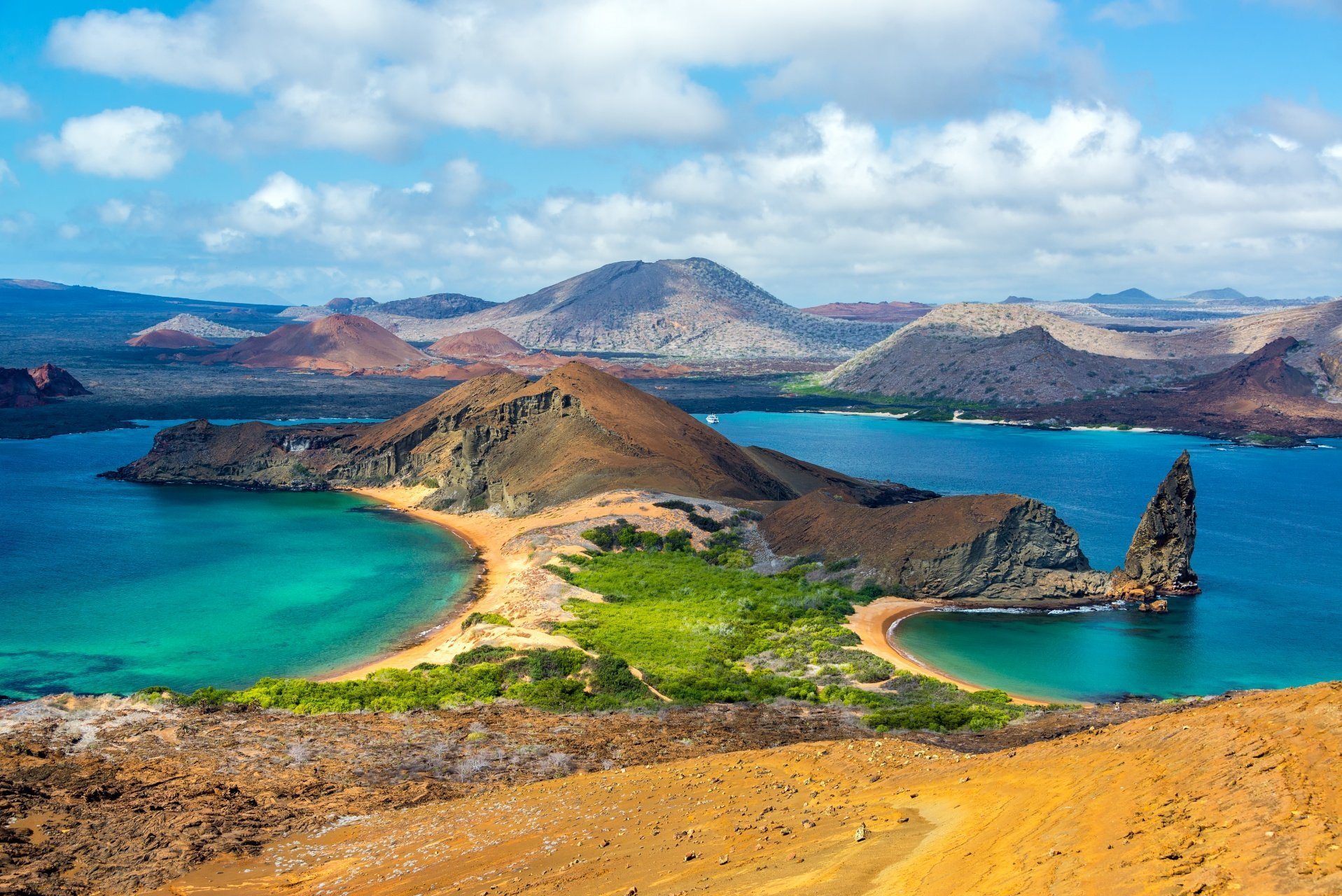 Galapagos Islands: life everywhere