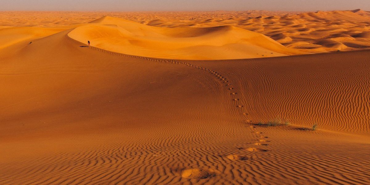 Al Maha Desert Dubai