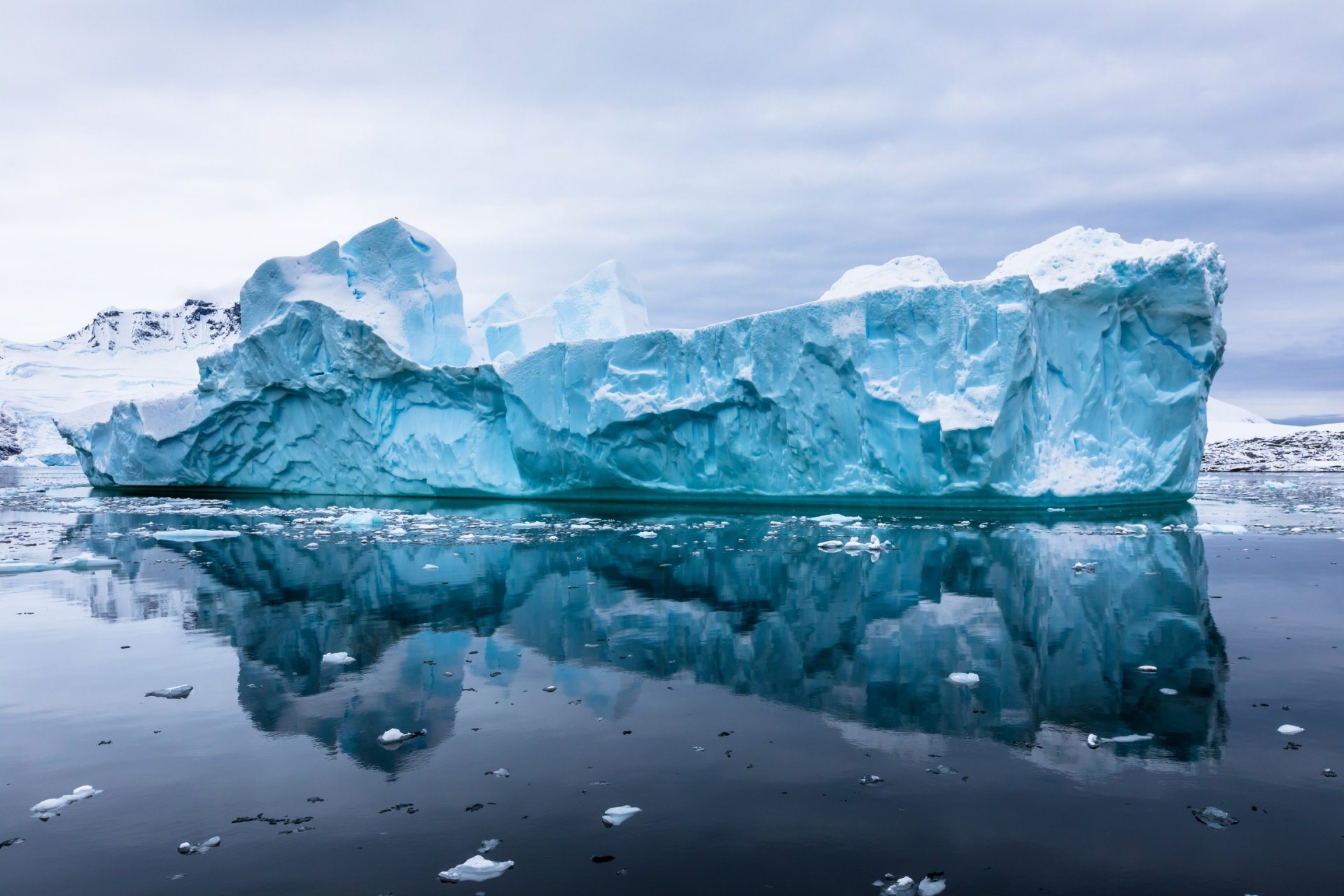 Antarctica: the Ice Kingdom