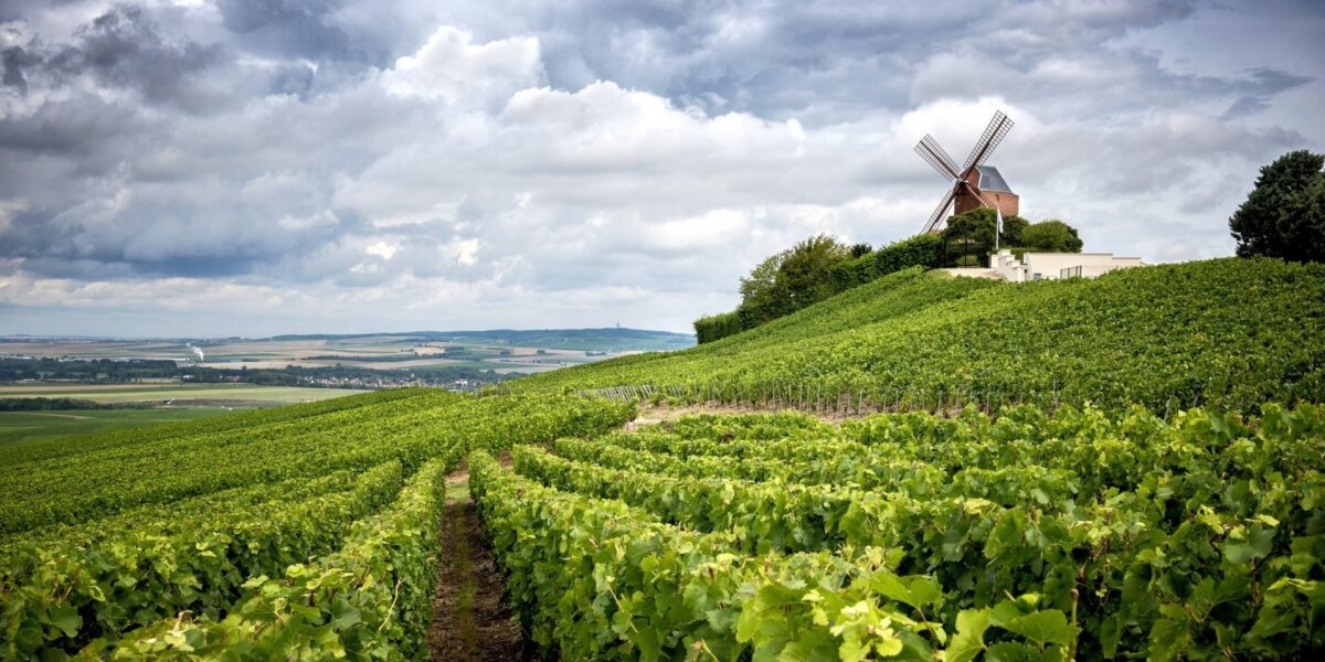 Champagne: the road of sparkling wines