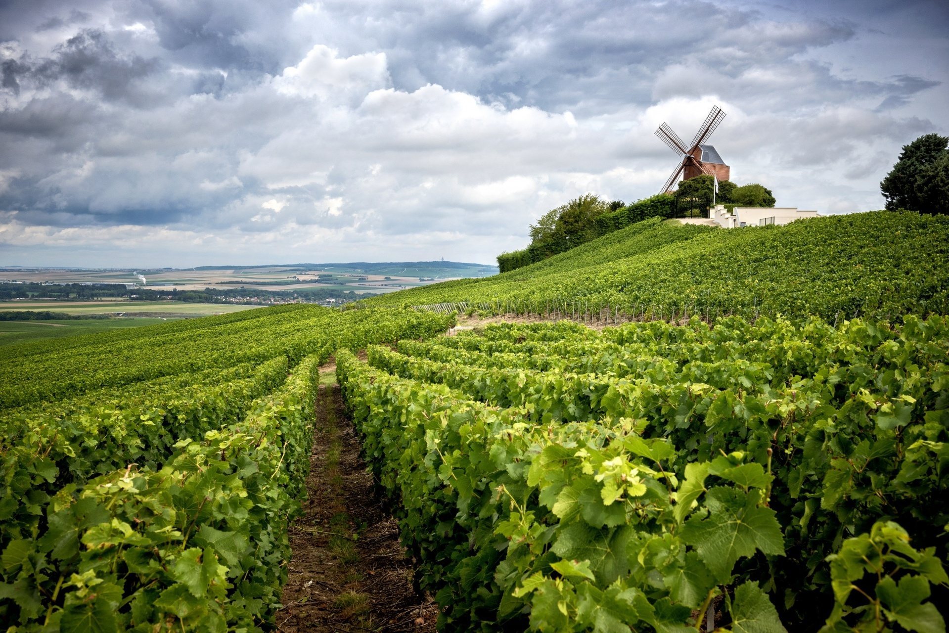 Champagne: the road of sparkling wines
