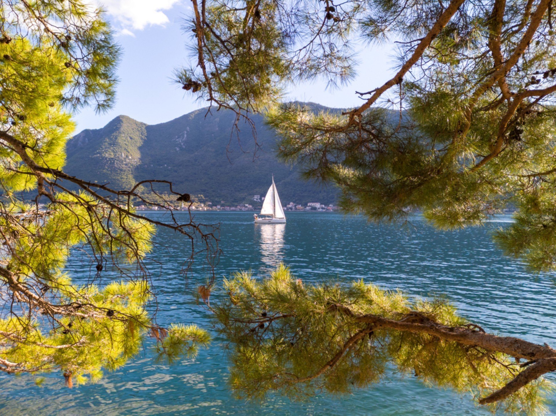 Sailing on the Adriatic